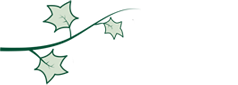 Ivy Hall Senior Living